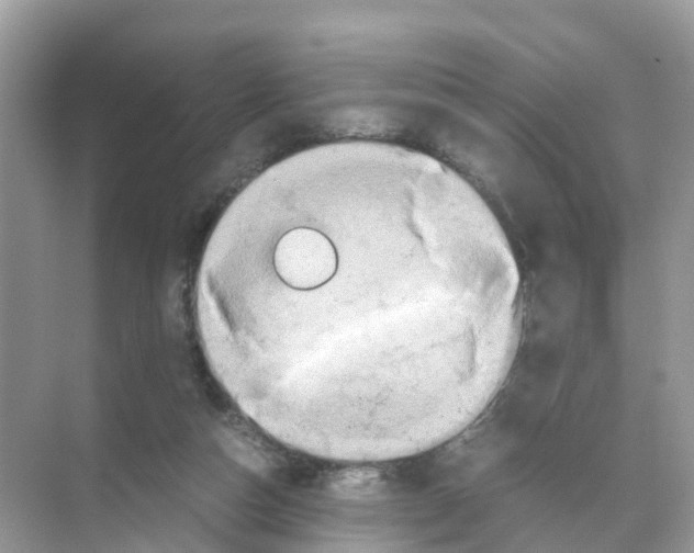 X0000070170162200606231930