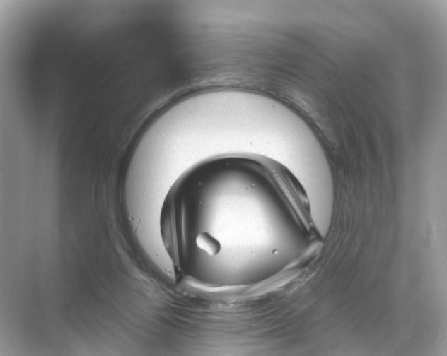 X0000070170164200606231930