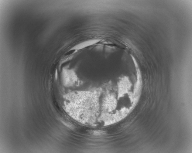 X0000070170165200606231930