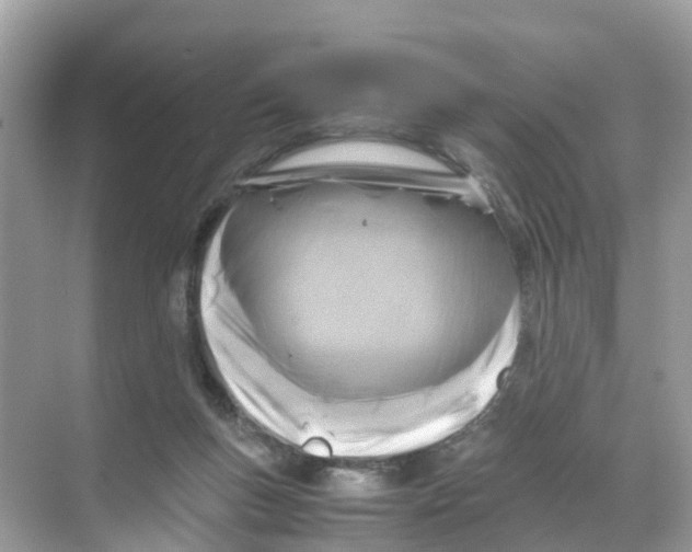 X0000070170167200606231930