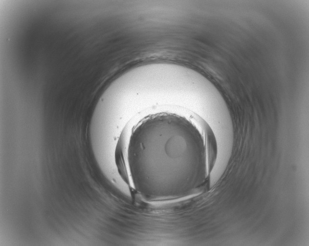 X0000070170168200606231930