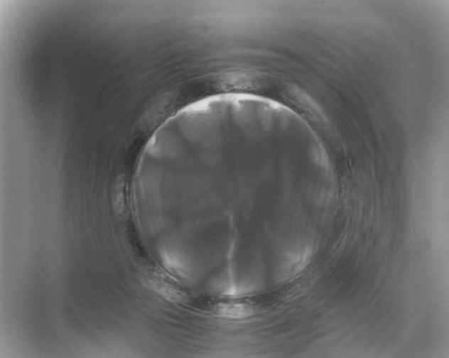 X0000070170169200606231930