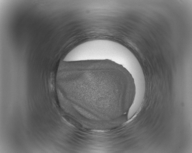 X0000070170170200606231930