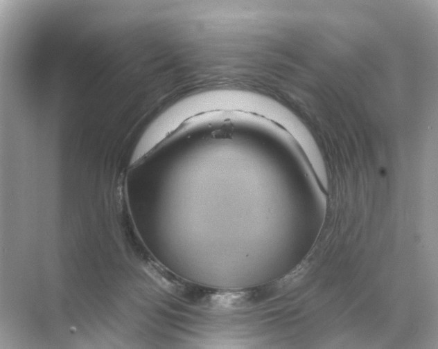 X0000070170172200606231930