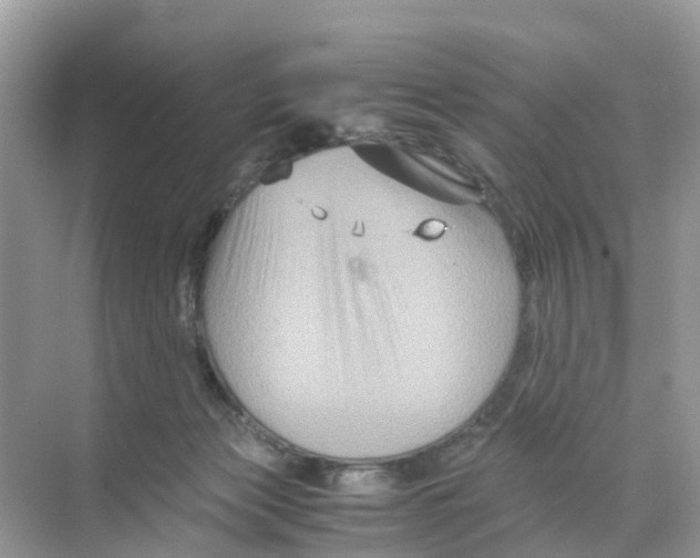 X0000070170173200606231930