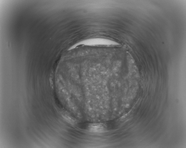 X0000070170175200606231930