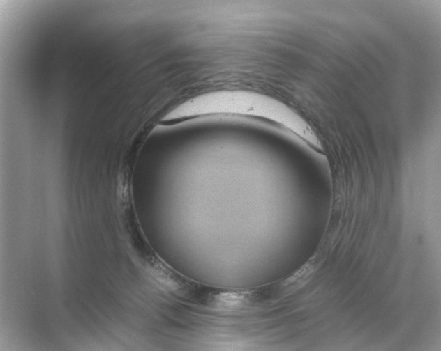 X0000070170176200606231930