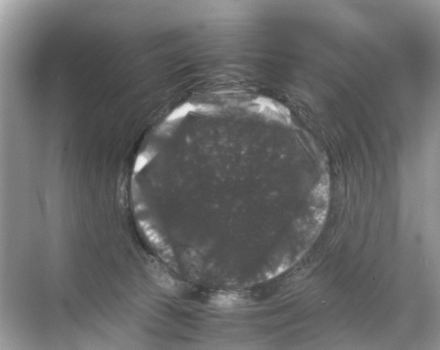 X0000070170177200606231930