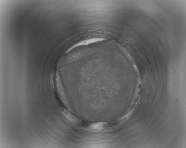 X0000070170178200606231930