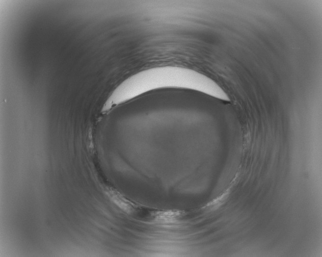 X0000070170182200606231930