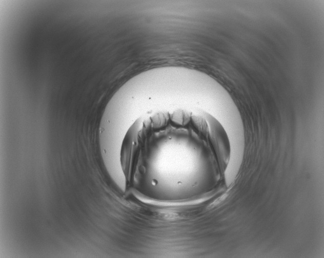 X0000070170184200606231930