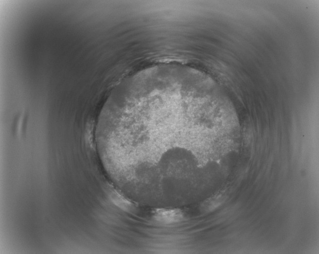 X0000070170185200606231930