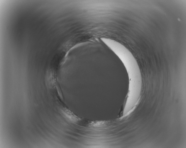 X0000070170186200606231930