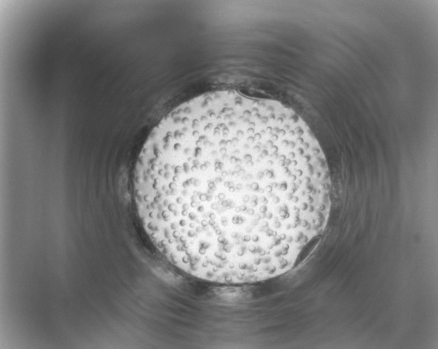 X0000070170187200606231930