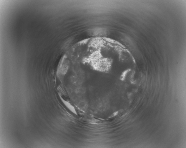 X0000070170189200606231930