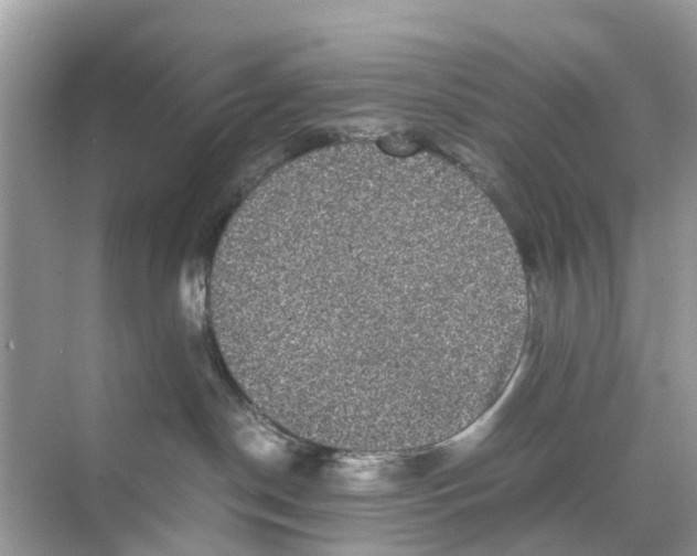 X0000070170190200606231930