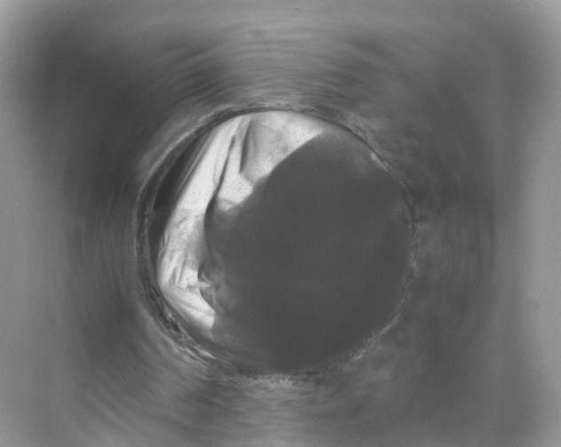 X0000070170194200606231930