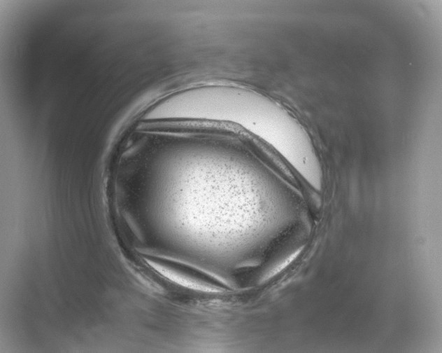 X0000070170197200606231929