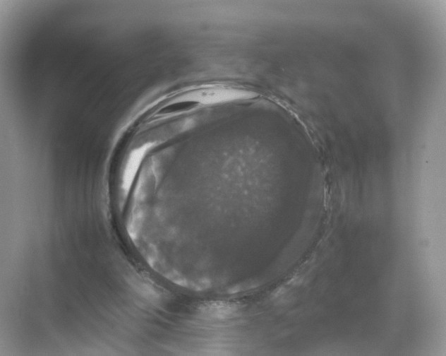 X0000070170198200606231929