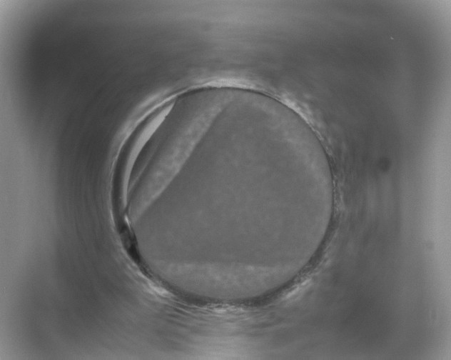 X0000070170199200606231929