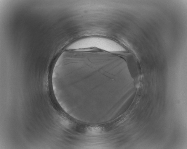 X0000070170202200606231929