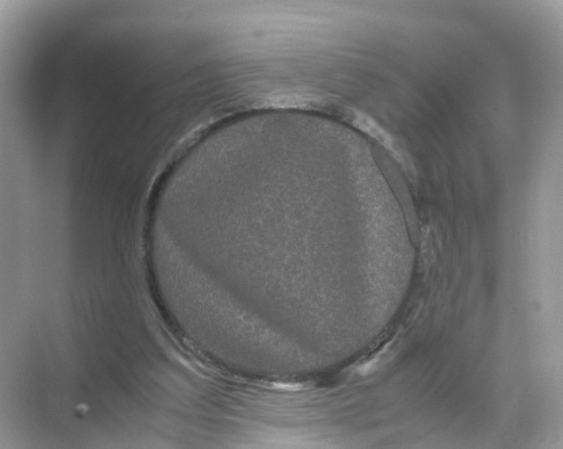 X0000070170203200606231929