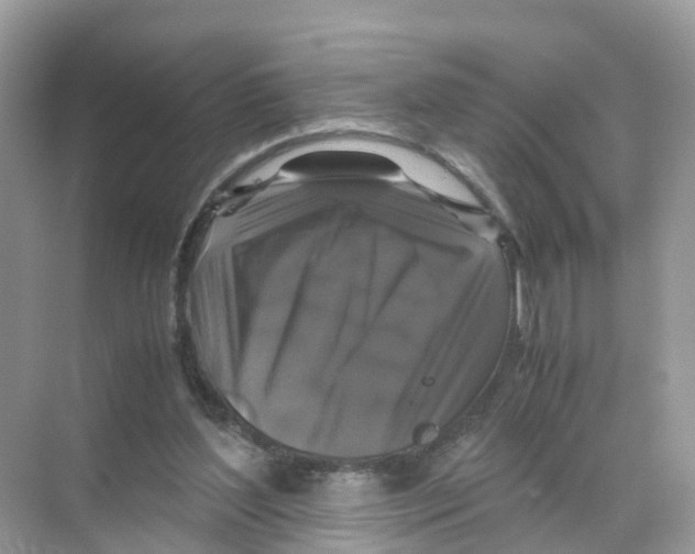 X0000070170204200606231929