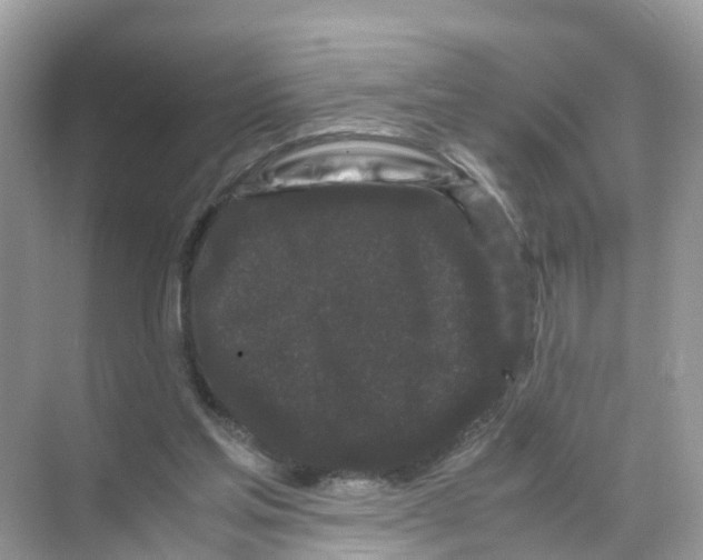 X0000070170205200606231929