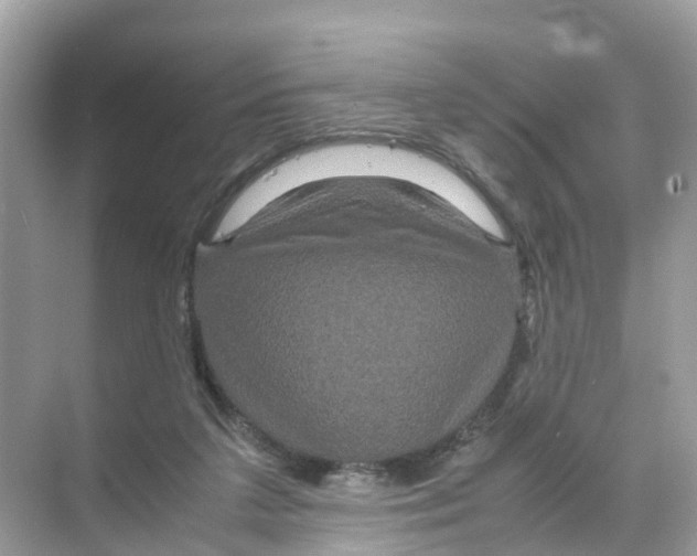 X0000070170211200606231929