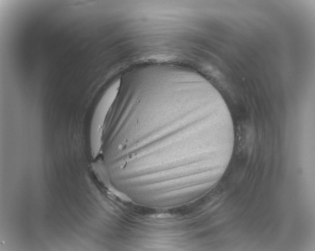 X0000070170212200606231929