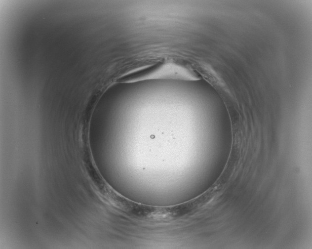 X0000070170213200606231929