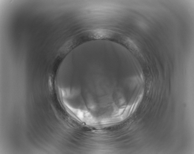 X0000070170214200606231929