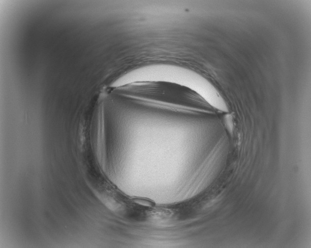 X0000070170215200606231929