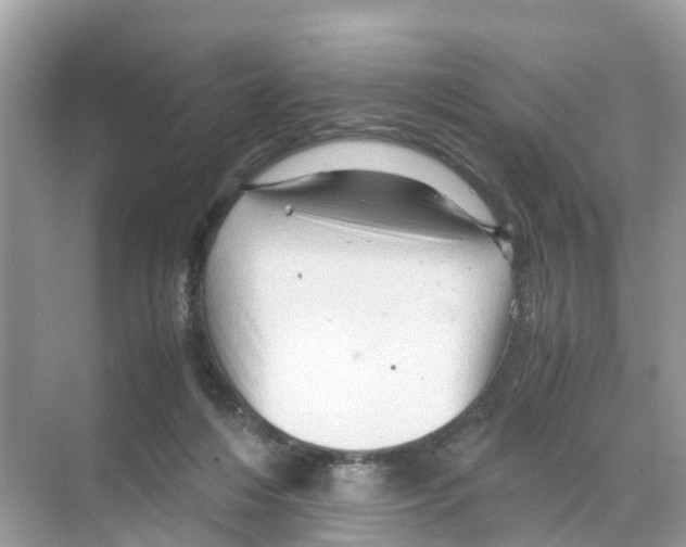 X0000070170216200606231929