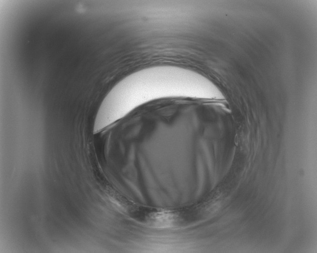 X0000070170219200606231929