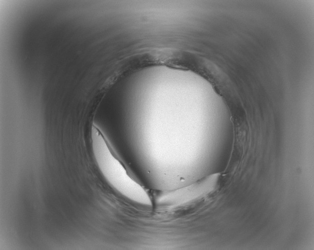 X0000070170221200606231929