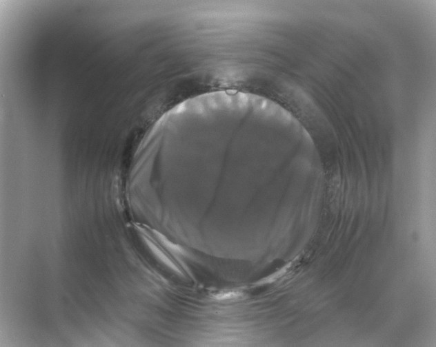 X0000070170222200606231929