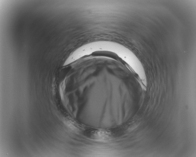 X0000070170223200606231929