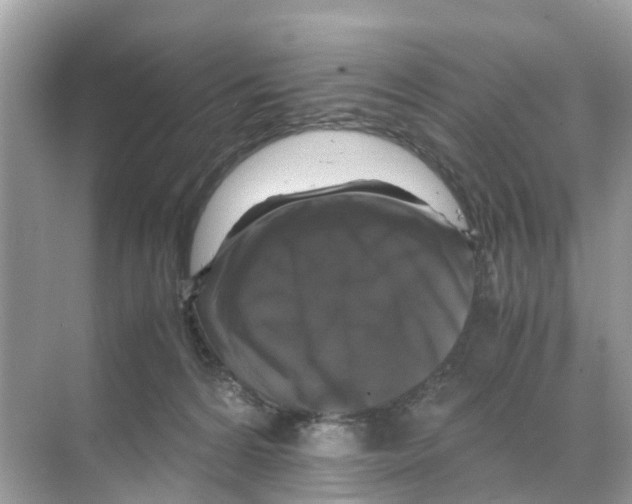 X0000070170224200606231929