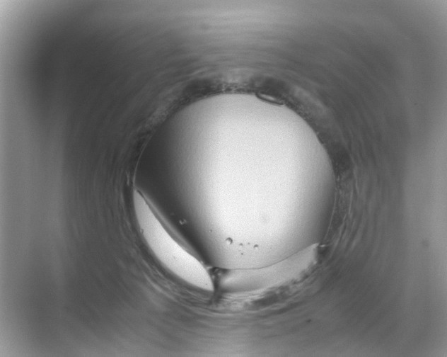 X0000070170225200606231929