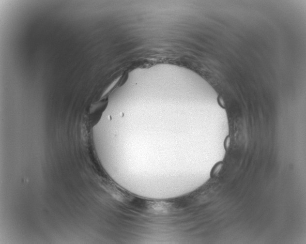 X0000070170226200606231929