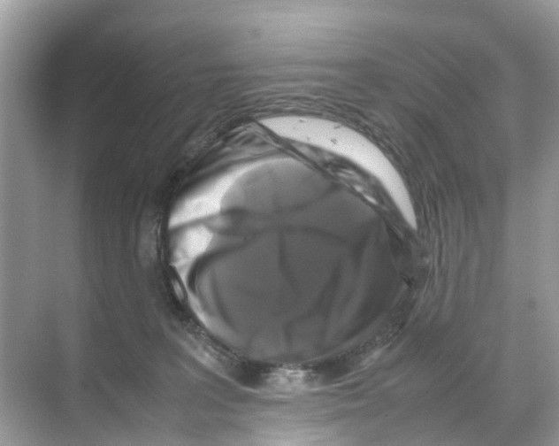 X0000070170227200606231929