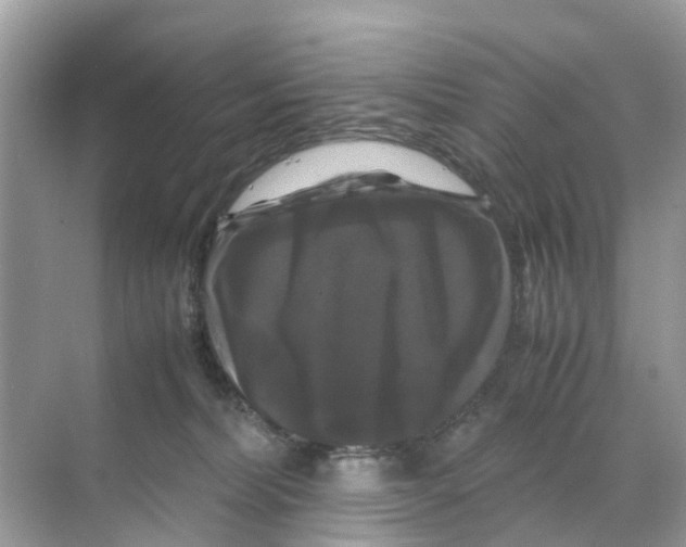 X0000070170228200606231929