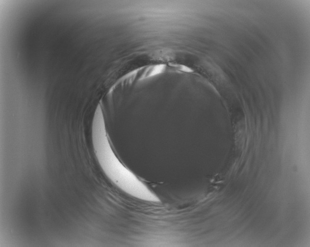 X0000070170229200606231929