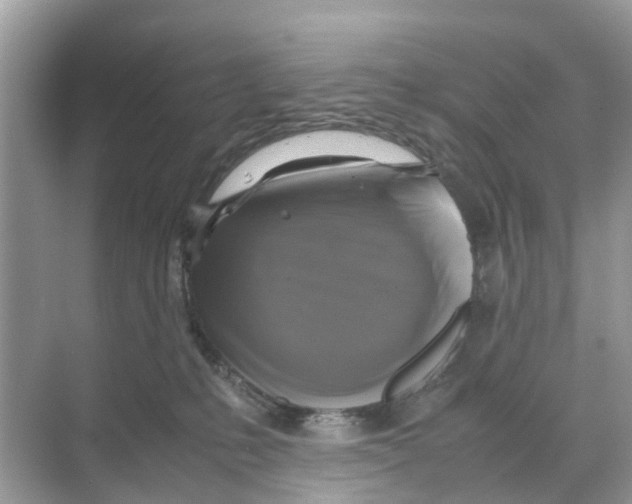 X0000070170231200606231929