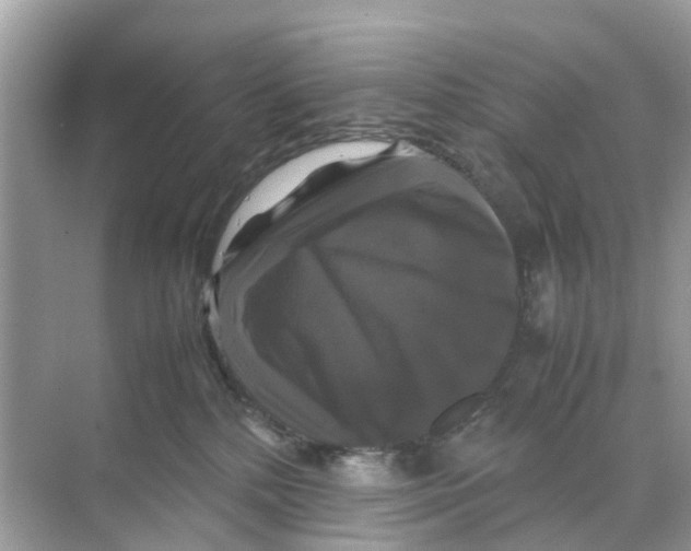 X0000070170232200606231929