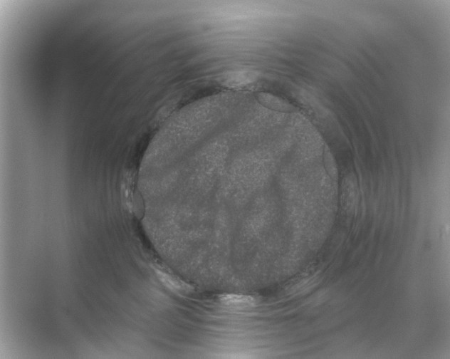 X0000070170234200606231929