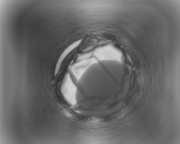 X0000070170235200606231929