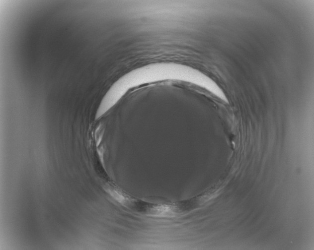 X0000070170237200606231929