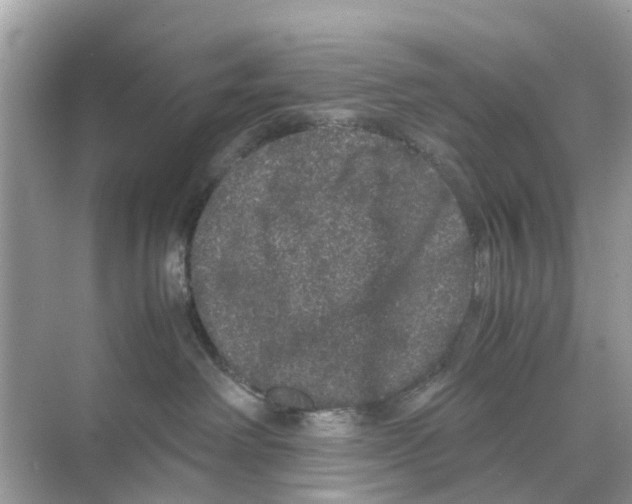 X0000070170238200606231929